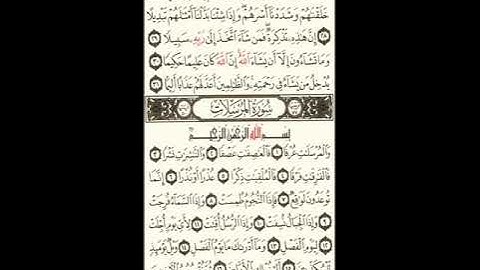 سورة المرسلات كاملة بصوت القارئ أدهم المشيرعي