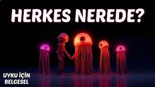 Fermi Paradoksu Uzaylılar Nerede? Uyku İçin Belgesel