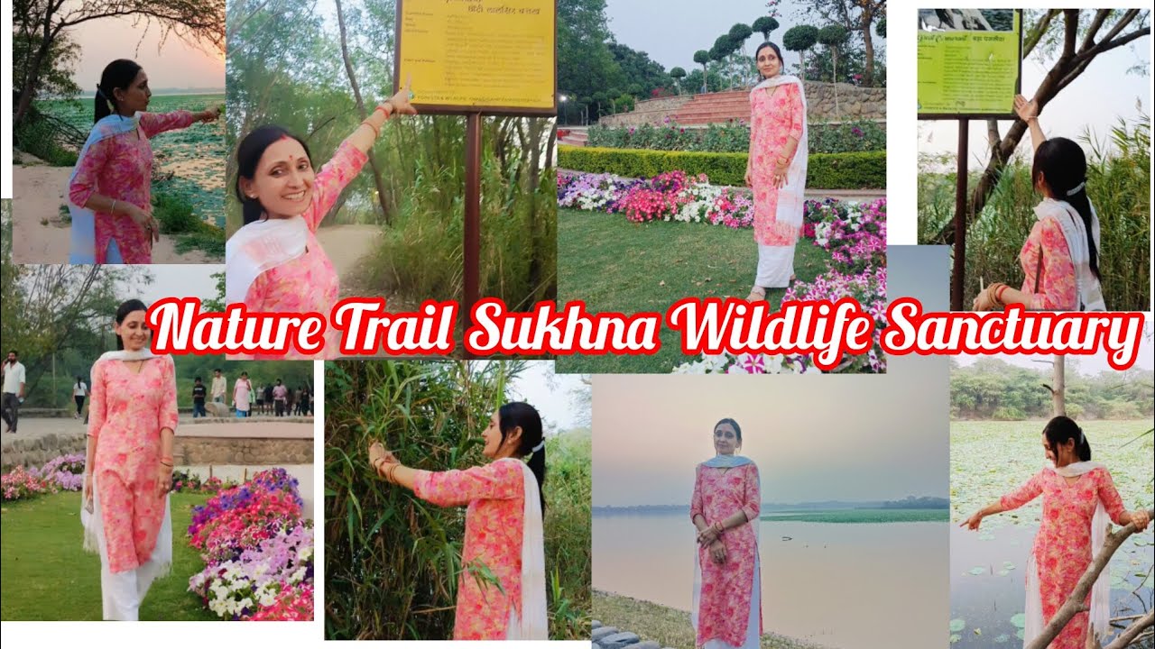 Nature Trail, Sukhna Wildlife Sanctuary Chandigarh♥️ 