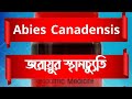 Abies Canadensis | জরায়ুর স্থানচ্যুতি, কোষ্ঠকাঠিন্য & পাকস্থলীর সমস্যায় কার্যকর | #abiescanadensis