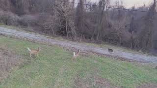 DJI Air 3S Scene Collaborations in the Ohio Valley