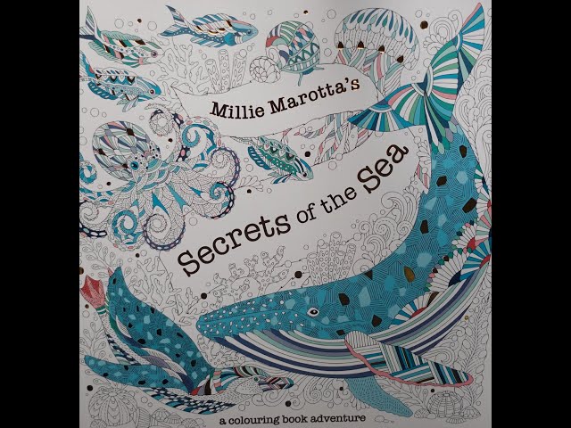 Millie Marotta's Secrets of the Sea: A Coloring Book Adventure (Millie  Marotta Adult Coloring Book) (Paperback)