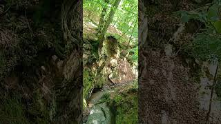 return to nature