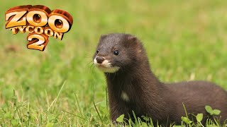 European Mink Exhibit Speed Build - Zoo Tycoon 2