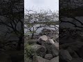 Chinandega, Nicaragua