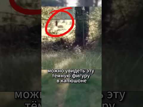 #факты #интересныефакты #shorts