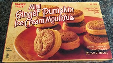 WE Shorts - Trader Joe