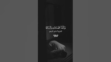 ألم يعلمو إن الله هو يقبل التوبه عن عباده||حالات واتساب دينية||مقاطع انستا||القارئ: شامي الشيخي