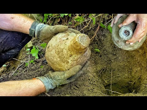 Video: Proyek Arkeologi