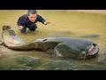 Incredible Giant Catfish Discovery by Dwarf Family While Fishing | Primitive Life