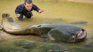 Incredible Giant Catfish Discovery by Dwarf Family While Fishing | Primitive Life