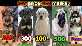 low price dog market in India || cheapest dog market || Gsd, Rottweiler, Labrador,Pug, Husky 🤩🤩