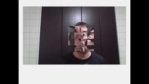 Face detection and rotation of each part. Draw by openFrameworks