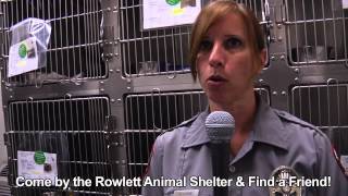 Animal Shelter Tour - October 2012