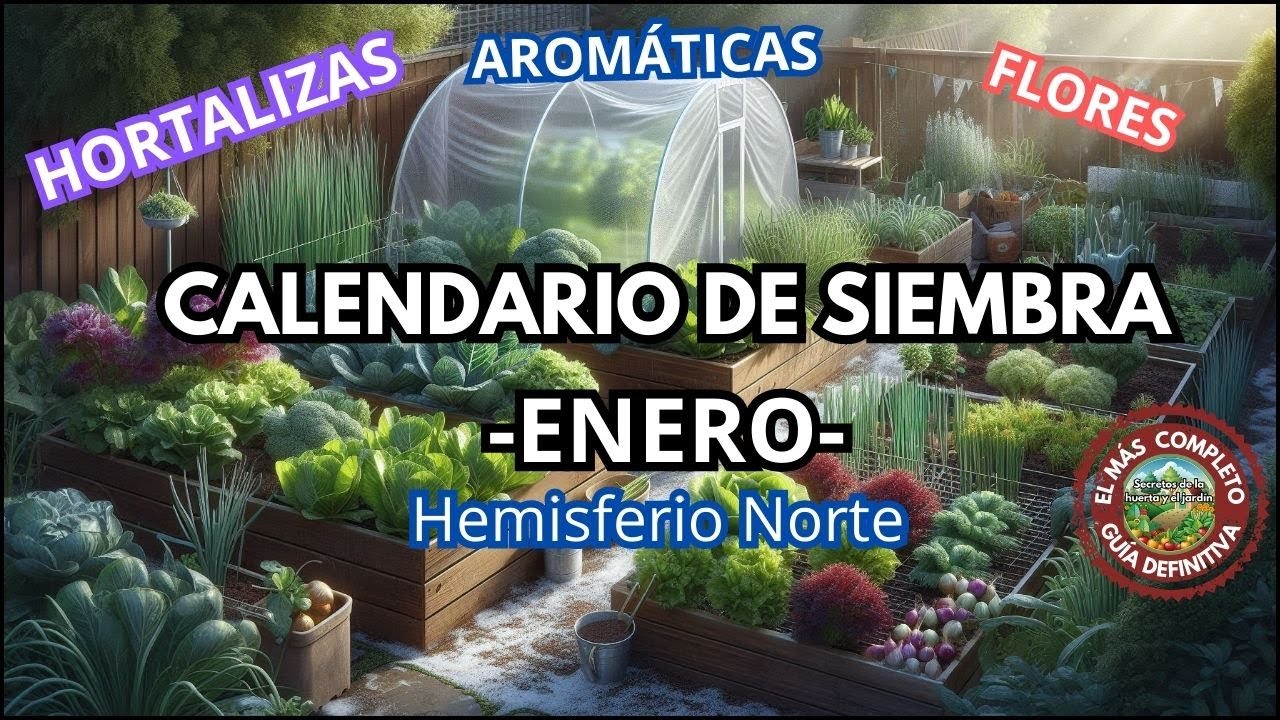 Qué sembrar en enero ❄️ Calendario de siembra – Hemisferio norte