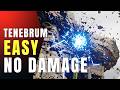 Tenebrum Guide (Easy No Damage) [Crimson Desert]