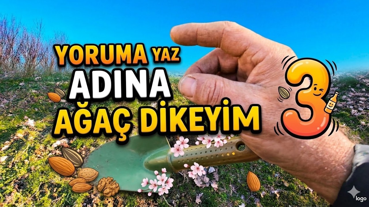 🌲ADINA AĞAÇ Ekiyorum 3️⃣ BADEM ÇİÇEKLERİ sana şans getirsin 🌟 Hedef: 1M 🌰 Toprakta 2550