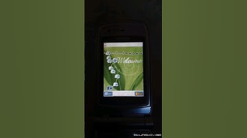 NTT Docomo NEC N2102V - On/Off