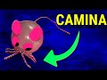 Cómo hacer un ratón robot  que se mueva