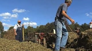 Old Fashioned Peanut Harvesting in South Georgia