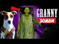 ► СОБАКА ИГРАЕТ В GRANNY ►МОД ГРЕННИ ЗОМБИ ► Dog playing in Zombie Granny