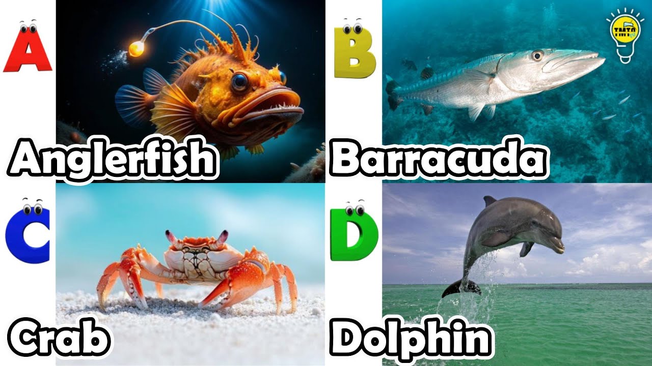 ABC Sea Animals song | Learn Alphabets | English and Animals for Kids ...