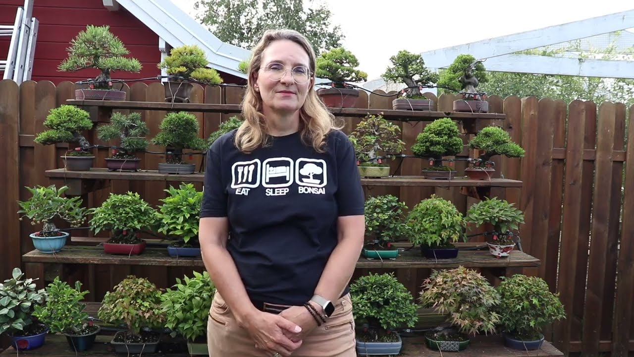 Техники бонсай: Backbudding in Bonsai от Хайке ван Гюнста