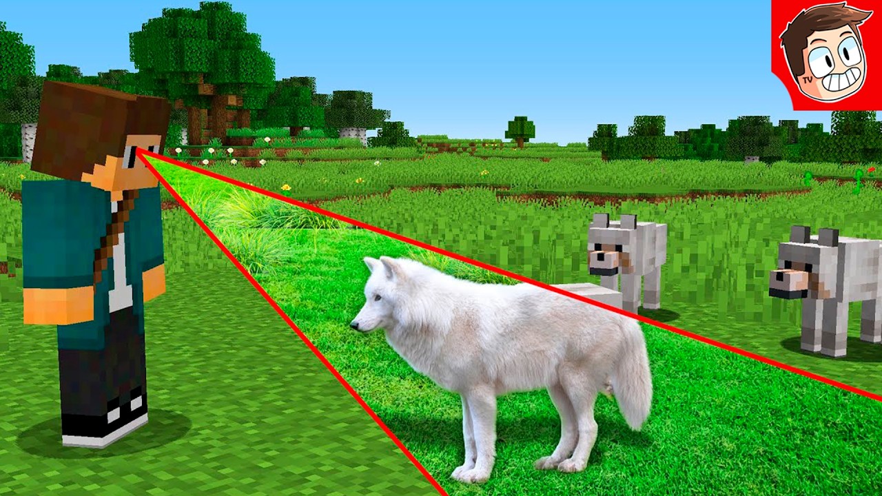 TUDO que VEJO Fica REALISTA no Minecraft!