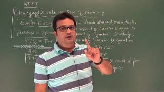 2 PUC - BIOLOGY - MOLECULAR BASIS OF INHERITANCE - PART 4