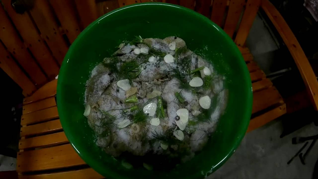 Как засолить грибы (волнушка,груздь.)