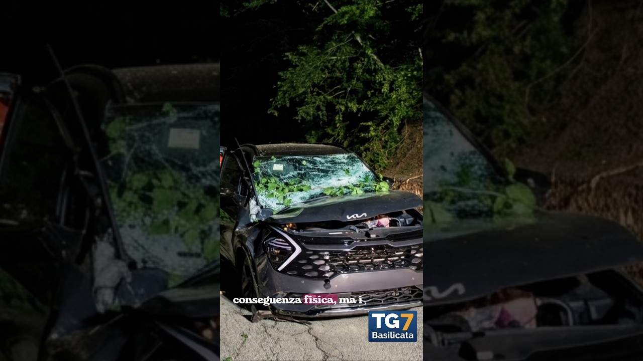 ⚠️ CROLLA UN ALTRO ALBERO, COINVOLTA UNA FAMIGLIA IN AUTOMONTICCHIO
