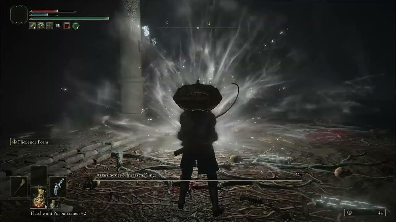 Elden Ring Assassine Der Schwarzen Klinge Unsichtbar Elden Ring PC - Assassine der Schwarzen Klinge - YouTube