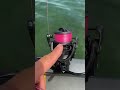 We dropped a no fade pink braided fishing line #Fishing #FishingVideos #FishingContent 