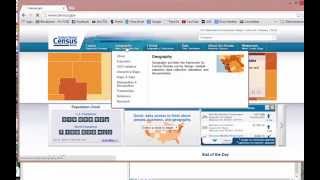 Demographics From Census