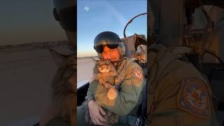 Top gun flying ace singing to pet Maine Coon #cat #cats #catvideos