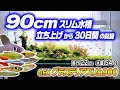 【ｱｸｱﾘｳﾑ】90cmスリム水槽の立ち上げから30日間の記録