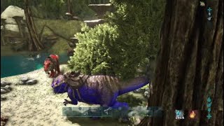 ARK abnormal defense updated