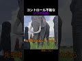 このゾウのおやつの食べ方