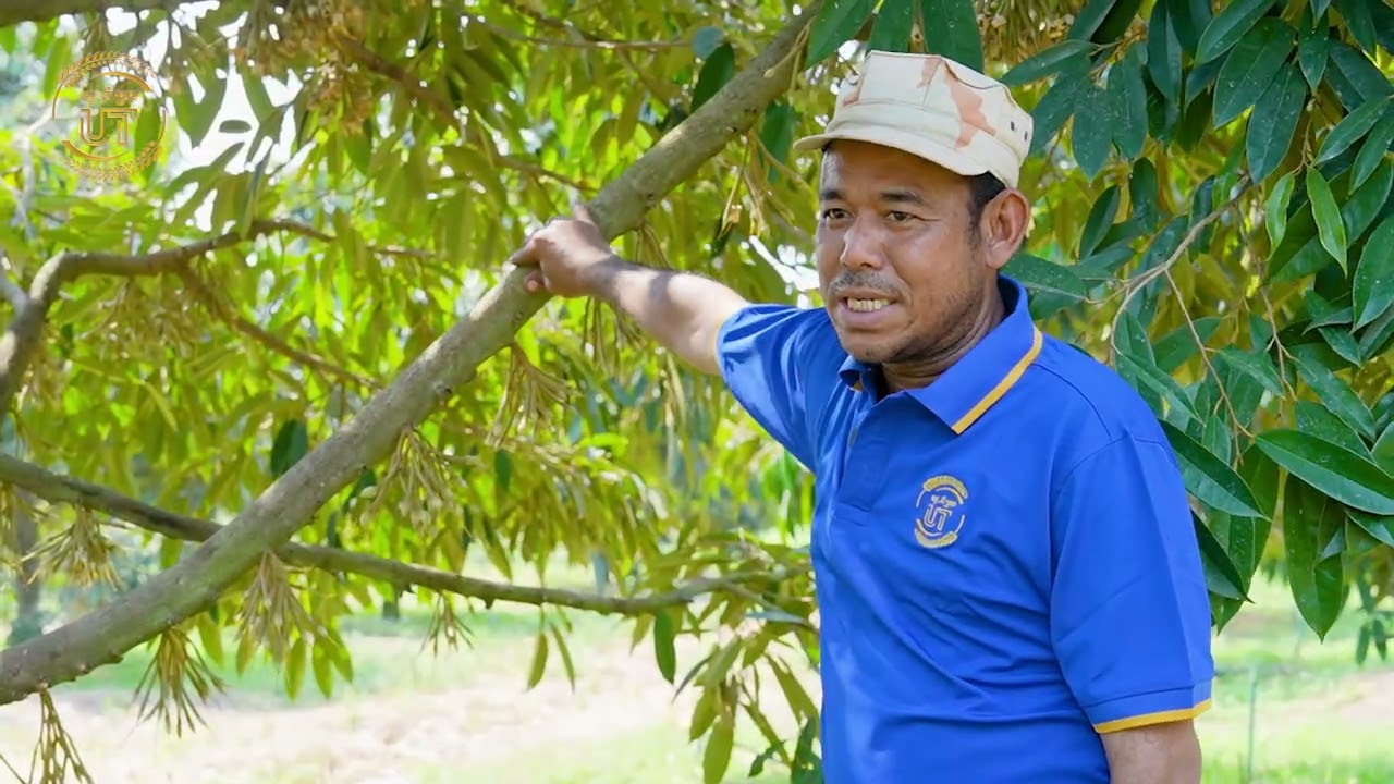 ចែករំលែកបទពិសោធន៍ពីម្ចាស់ចម្ការទុរេននៅខេត្តព្រះវិហារអំពីការថែផ្កាចាប់ពីកន្ទុយជាស រហូតដល់ក្តឹប៤៥ថ្ងៃ