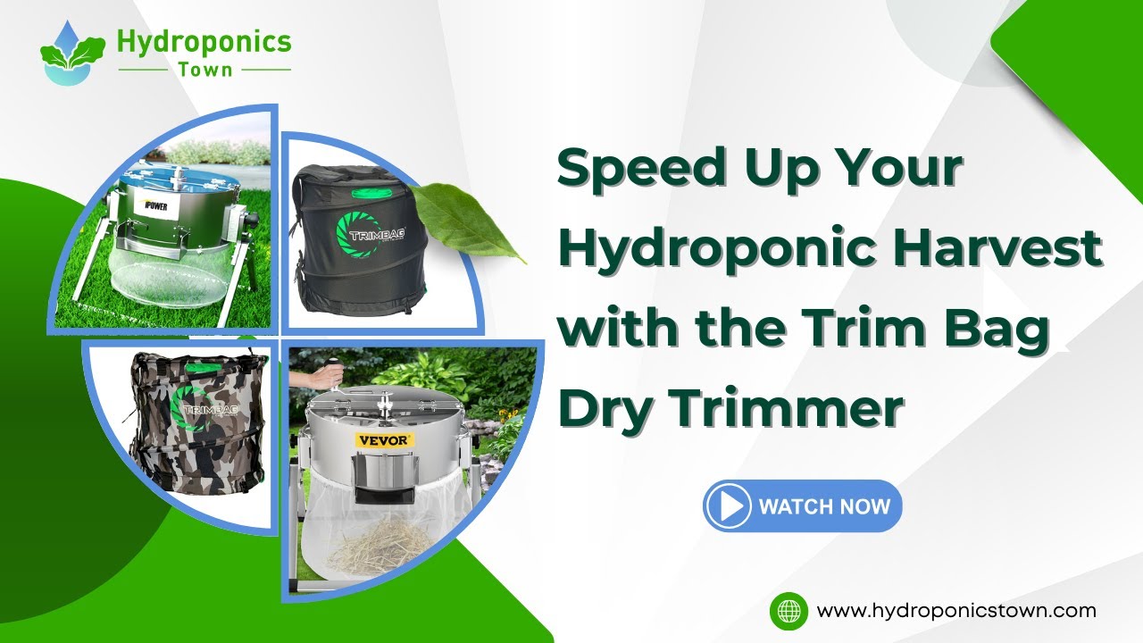 Speed Up Your Hydroponic Harvest with the Trim Bag Dry Trimmer - HydroponicsTown