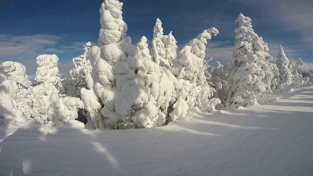 Gopro Snowboarding Jay Peak 2016/2017 YouTube