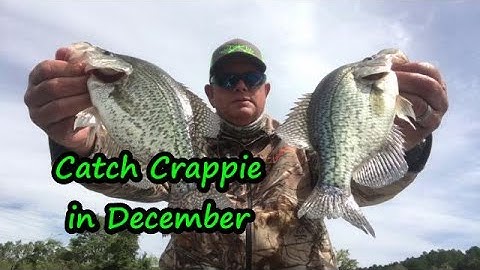 How to catch Crappie in December Tips,Location and lures/How to catch crappie in winter/