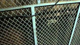 OTIS Hydraulic Freight Elevator #4 @ Kings Plaza, Brooklyn, NY