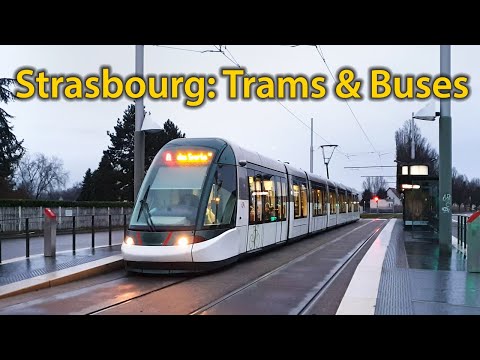 Автобусная и трамвайная остановки в Страсбурге. Забастовка и расписание движения