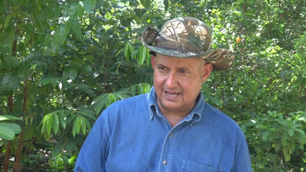 Empresa Agroforestal Guanahacabibes en Sandino apoya la recuperación de las provincias orientales.