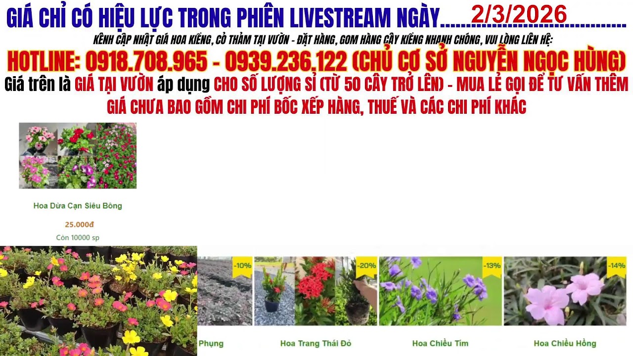 Cập Nhật Giá Cỏ Thảm Và Hoa Kiểng Sa Đéc Mới Nhất 2026 – Nhiều Loại Đẹp, Giá Bất Ngờ!