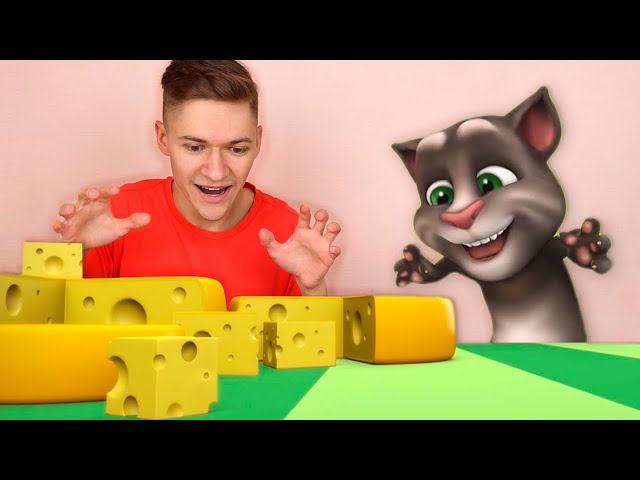 My Talking Tom in Real Life [Part 5] - Real Cat Compilation class=