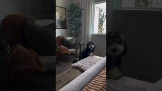 Trendy Warm Neutral Bedroom Decor For A Chic Refresh