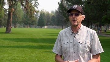 Bend hires first urban forester to protect growing tree canopy