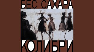 Ромашки - Колибри